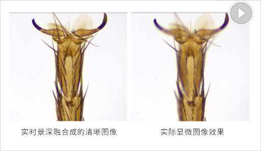 1a2fb7c206c03d8bbd6f8bed3ed271ad_555