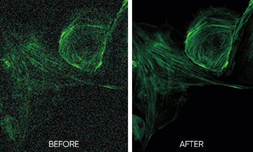 先進制冷降噪技術