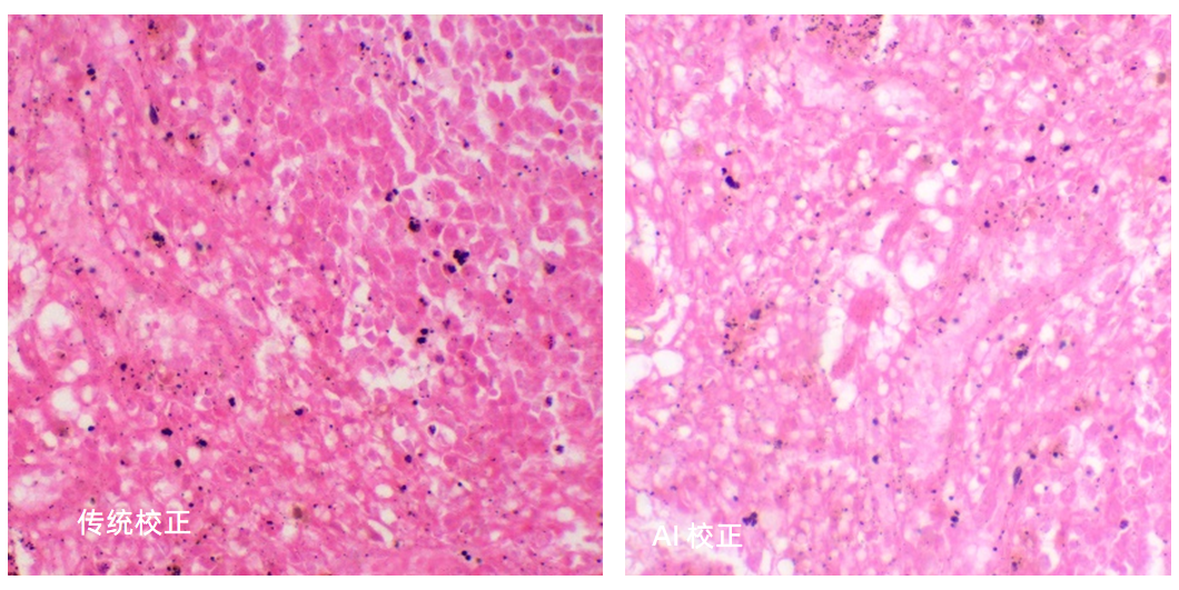 真實色彩還原，所見即所得